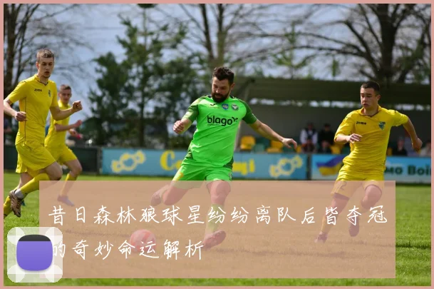 昔日森林狼球星纷纷离队后皆夺冠的奇妙命运解析