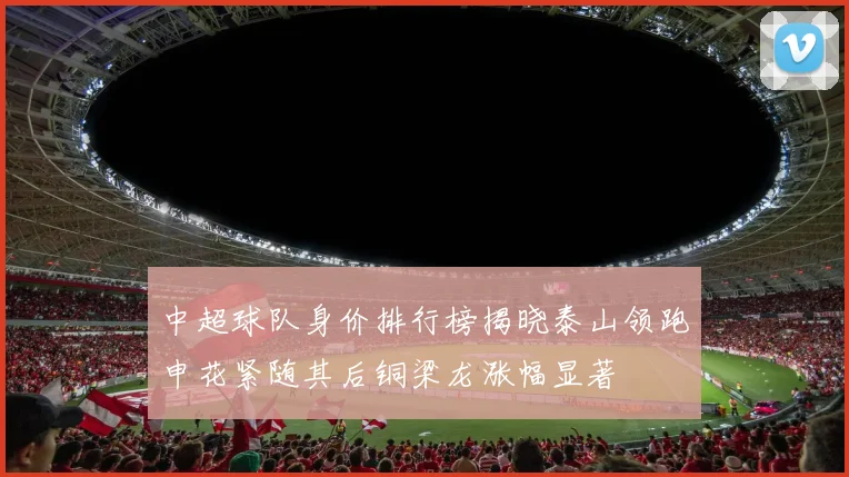 中超球队身价排行榜揭晓泰山领跑申花紧随其后铜梁龙涨幅显著